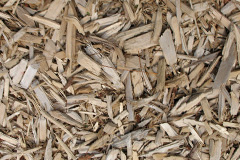 biomass boilers Pooksgreen
